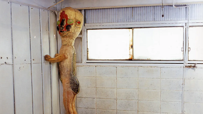 photo of scp 173
